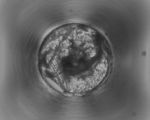 X0000113091024200910091252