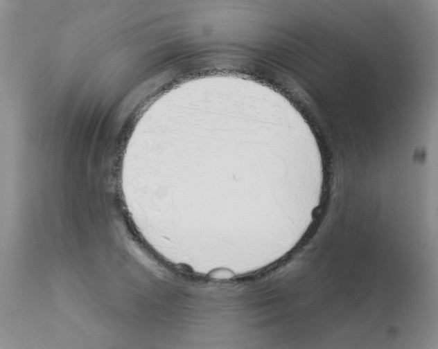 X0000113091026200910091252