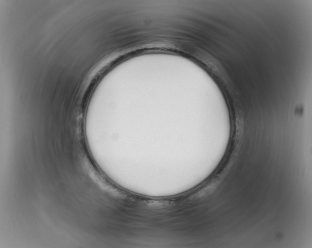 X0000113091029200910091252