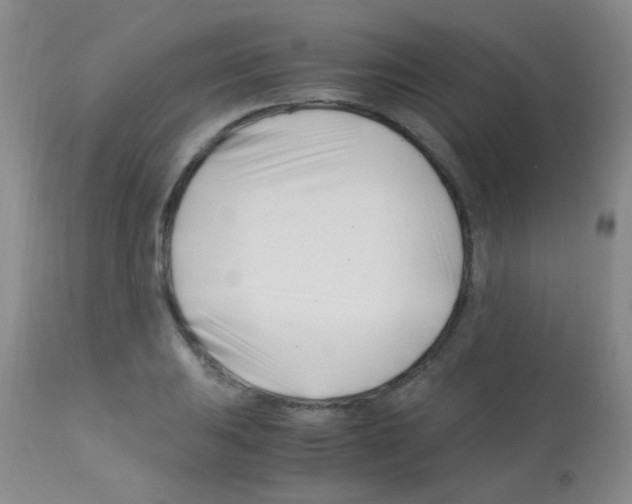 X0000113091031200910091252