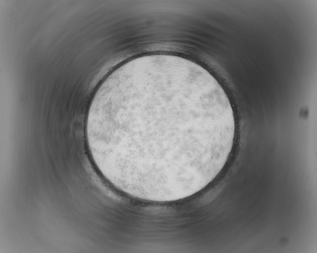 X0000113091033200910091252