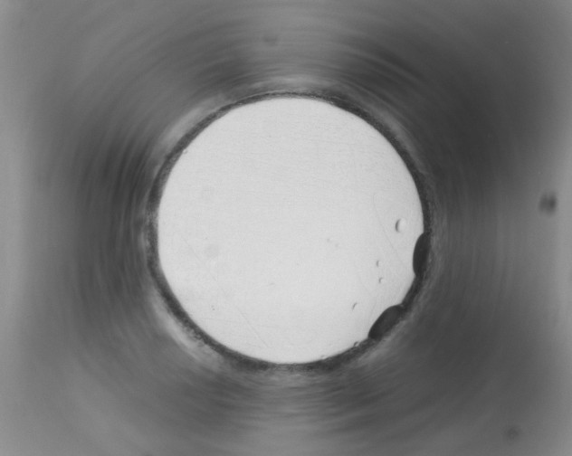 X0000113091034200910091252