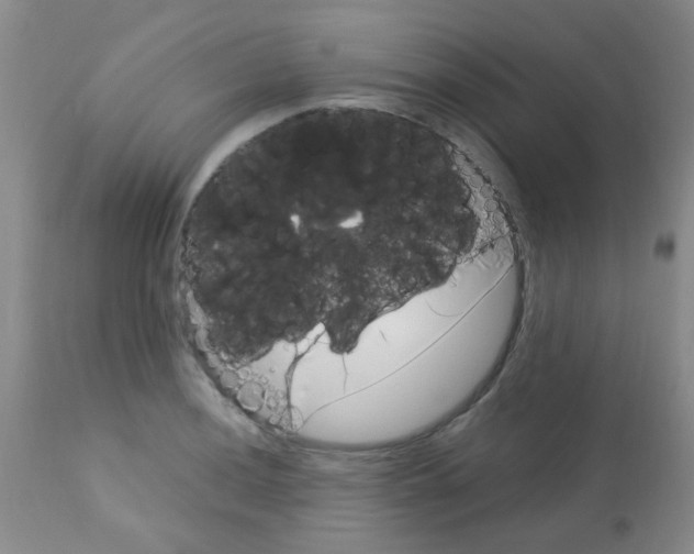 X0000113091036200910091252