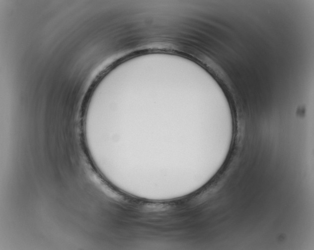 X0000113091037200910091252
