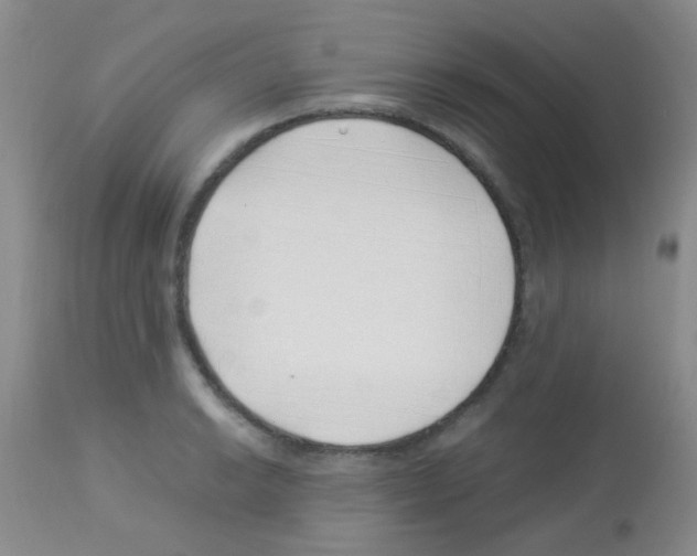 X0000113091038200910091252