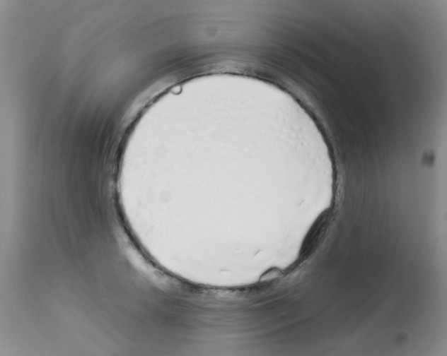 X0000113091042200910091252