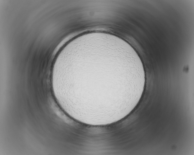 X0000113091044200910091252