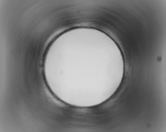 X0000113091045200910091252