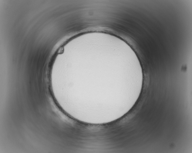 X0000113091046200910091252