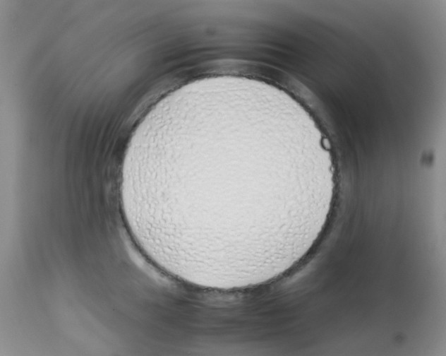 X0000113091049200910091252