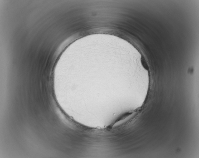 X0000113091050200910091252