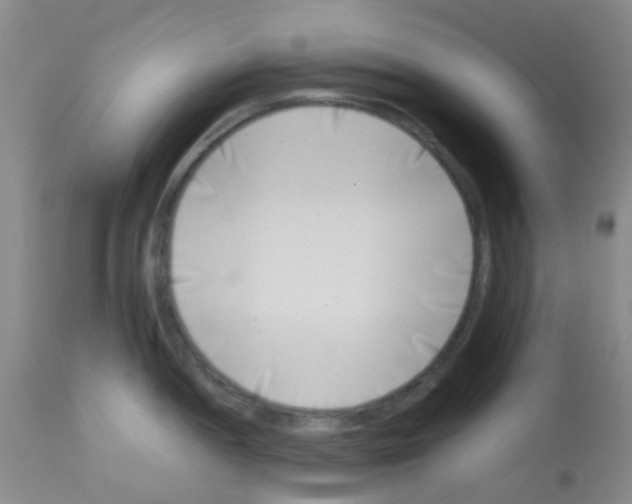 X0000113091052200910091252