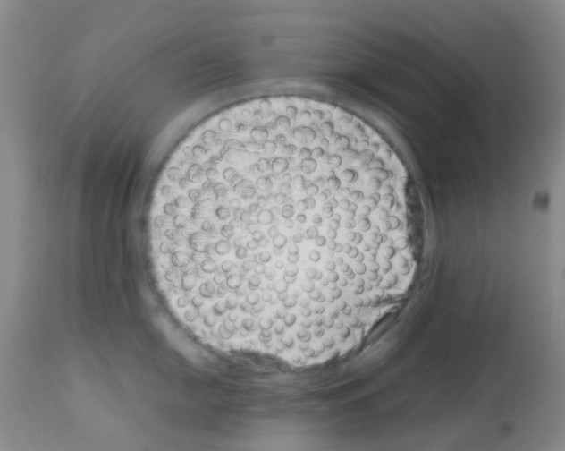 X0000113091054200910091253