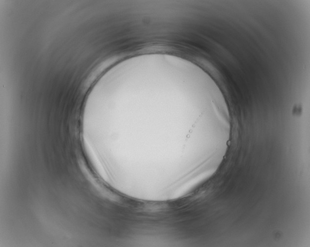 X0000113091055200910091253