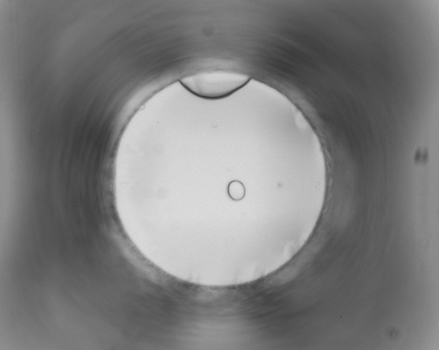 X0000113091056200910091253