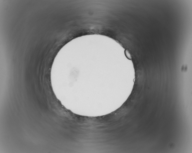 X0000113091057200910091252
