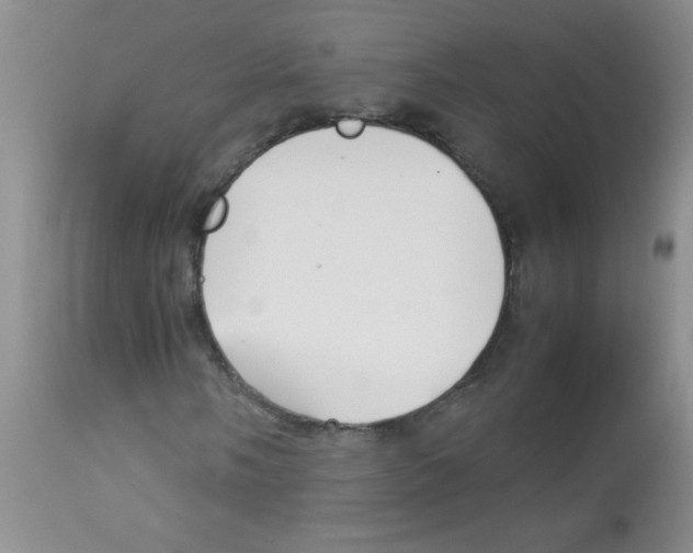 X0000113091058200910091252