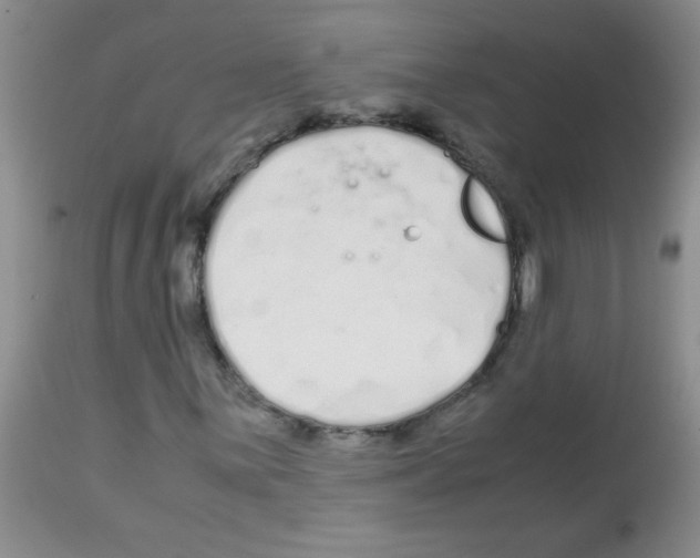 X0000113091059200910091252