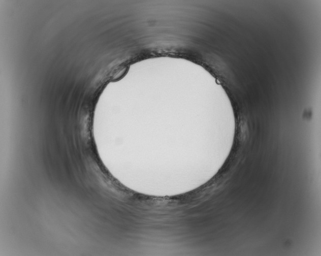X0000113091060200910091252