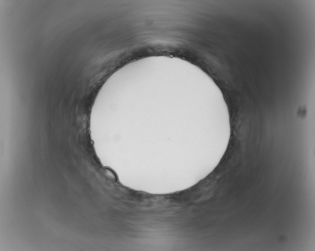 X0000113091061200910091252