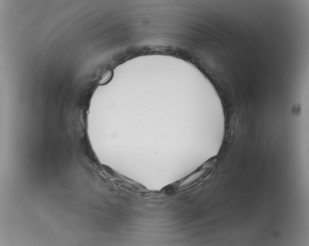 X0000113091062200910091252