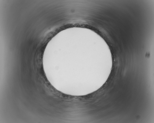 X0000113091063200910091252