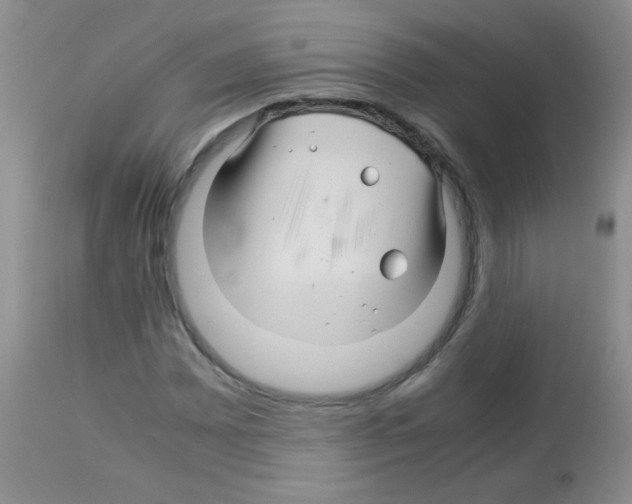 X0000113091065200910091252