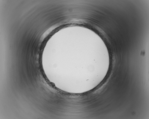 X0000113091066200910091252