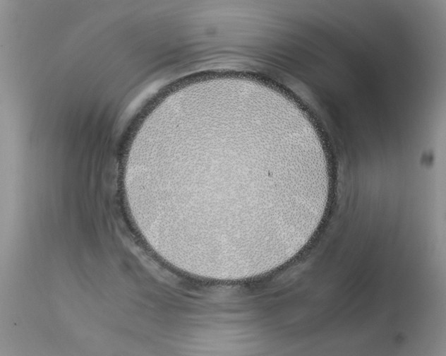 X0000113091067200910091252