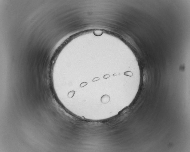 X0000113091068200910091252