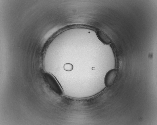 X0000113091069200910091252