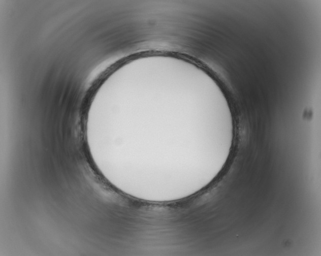 X0000113091070200910091251