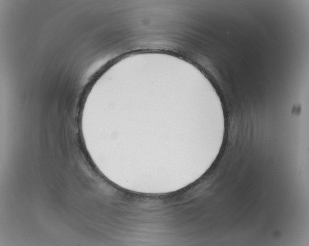 X0000113091071200910091251