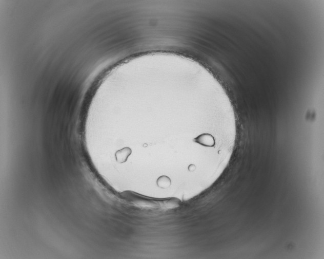 X0000113091072200910091251