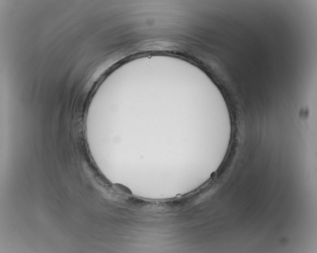 X0000113091073200910091251