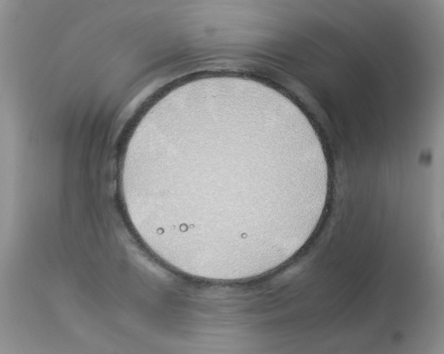 X0000113091075200910091251