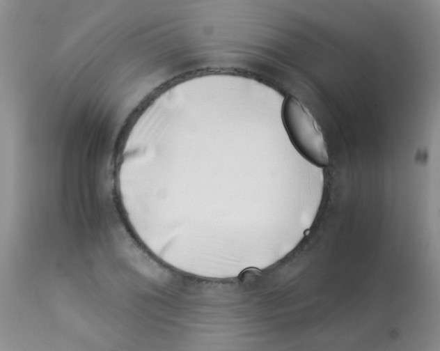 X0000113091076200910091251