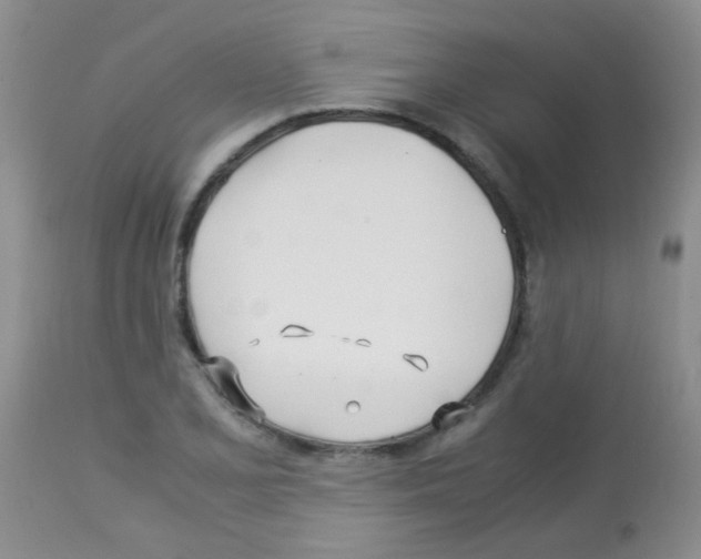 X0000113091077200910091251