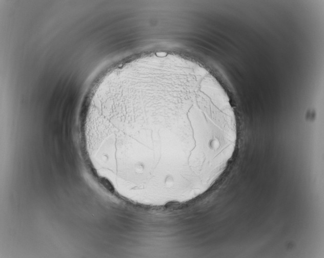 X0000113091080200910091251