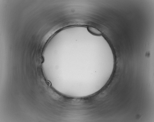 X0000113091081200910091251