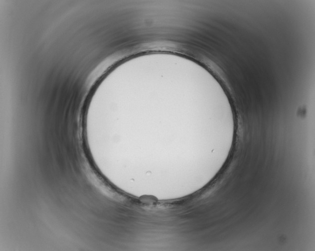 X0000113091082200910091251