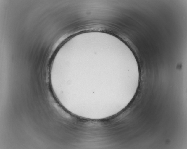 X0000113091083200910091251
