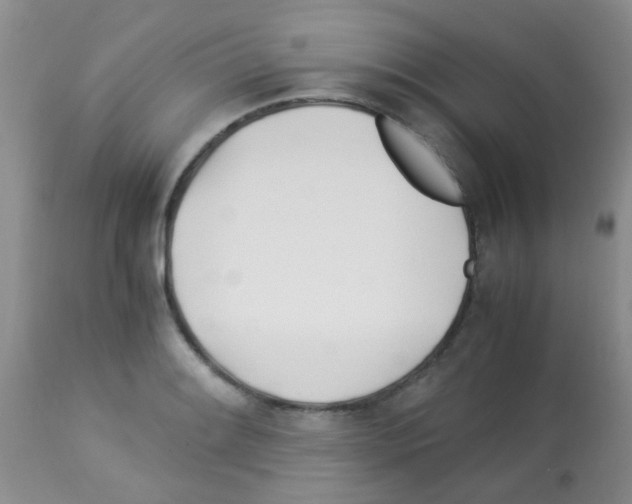 X0000113091084200910091251