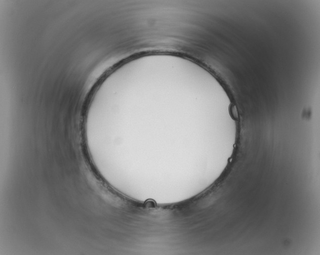 X0000113091085200910091251