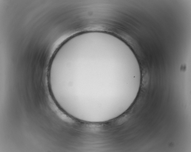 X0000113091086200910091251