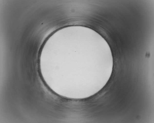 X0000113091087200910091251