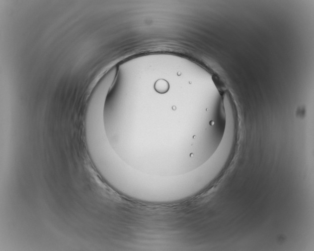 X0000113091089200910091251
