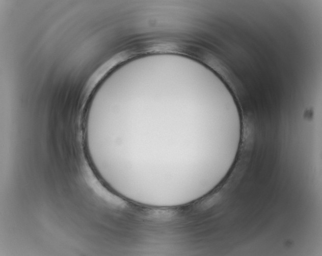 X0000113091090200910091251