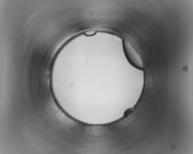 X0000113091092200910091251