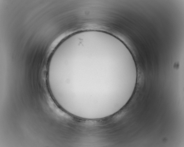 X0000113091094200910091251